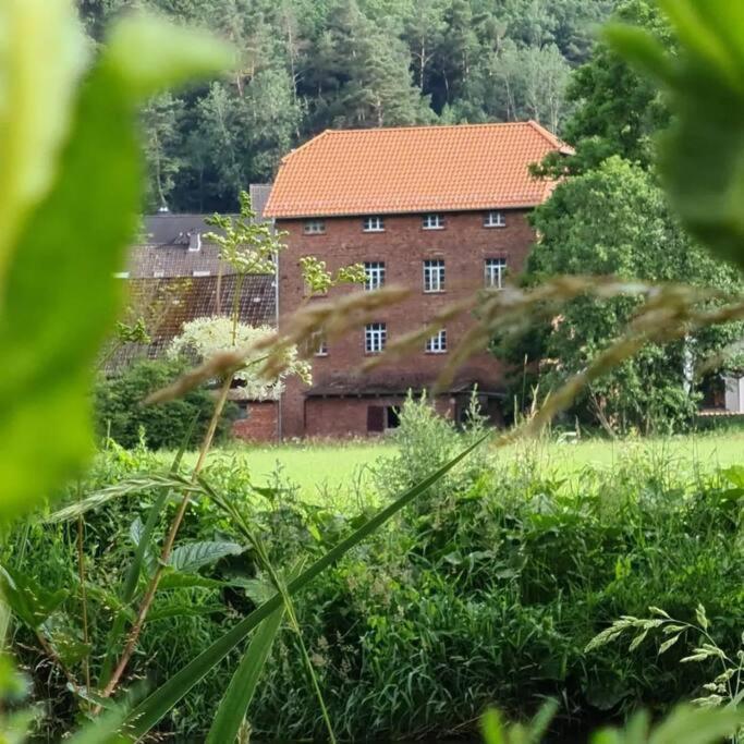 Lindenwohnung An Historischer Muehle Holzhausen  Eksteriør billede